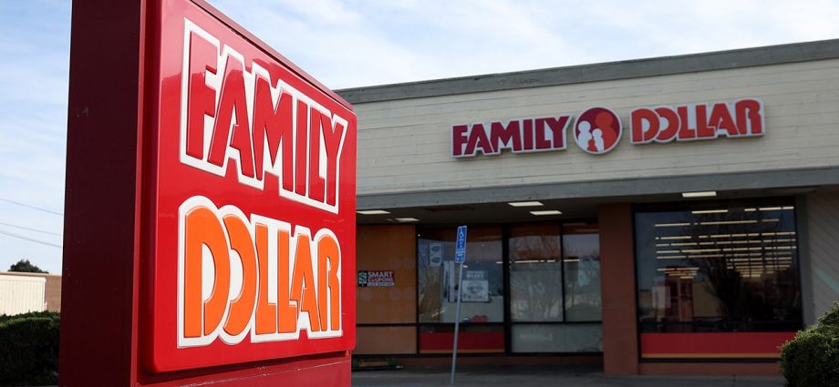 Dollar Tree selling Family Dollar in 'multi-year transformation journey'
