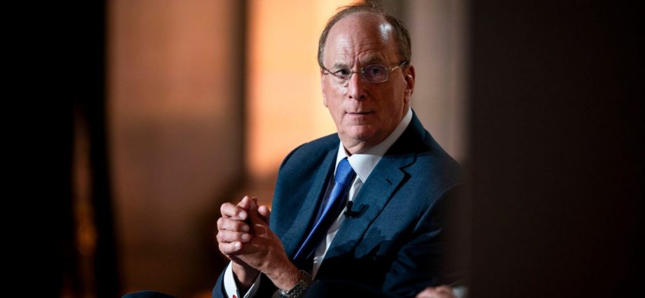 Larry Fink Says Regular Americans Need Private Assets Too