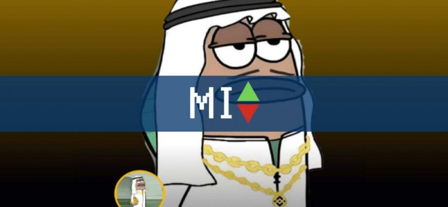 New Meme Coin MUBARAK Explodes as PEPE and MEMEX Gain Momentum