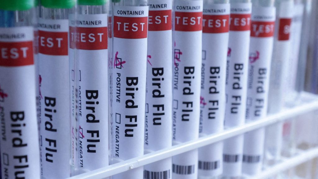 FILE PHOTO: Test tubes are seen labelled "Bird Flu" words in this illustration taken, June 10, 2024. REUTERS/Dado Ruvic/Illustration/File Photo