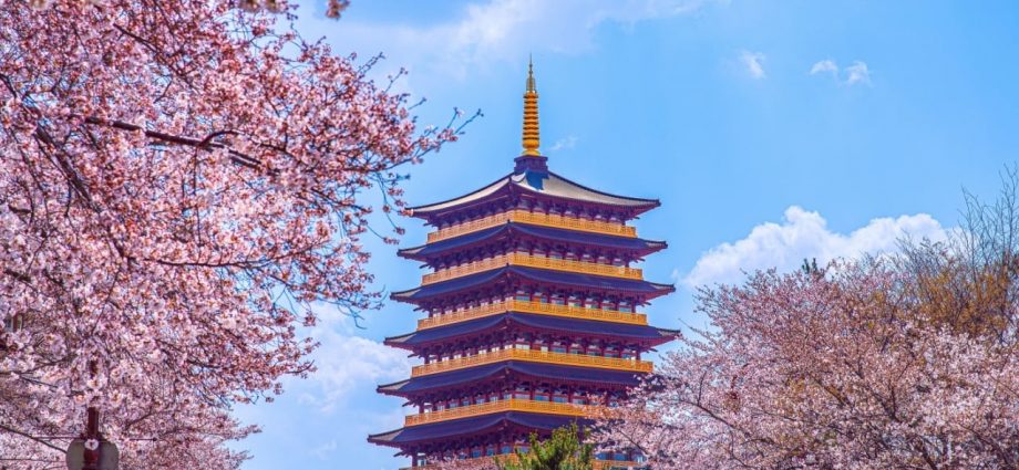 South Korea to Trial CBDC With 100,000 Users and 7 Banks