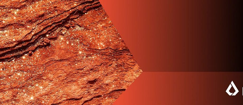 Lisk Season One Concluded — What’s Expected And Why Season Two Matters? | by PVMihalache | Coinmonks | Apr, 2025