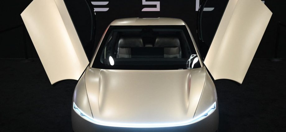 Tesla robotaxi deadline looms as political backlash builds over Musk