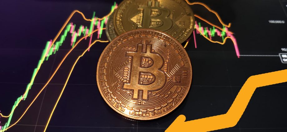 Bitcoiners take a victory lap as crypto holds up well during market turmoil
