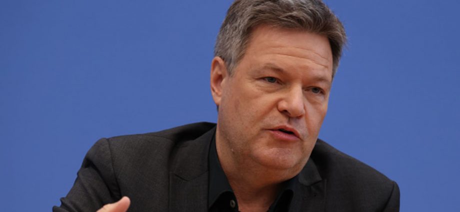 Trump will 'buckle under pressure' if Europe bands together over tariffs: German economy minister