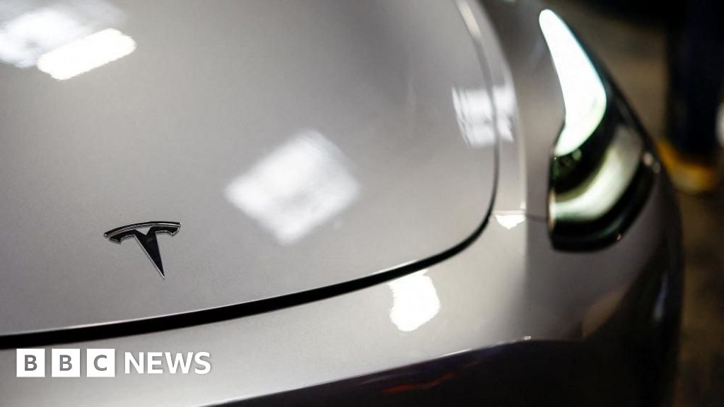 Tesla sales unexpectedly plunge after Elon Musk backlash