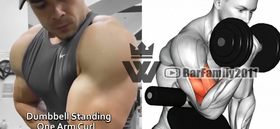 15 Best Biceps Exercises (Building Big ARMS!)
