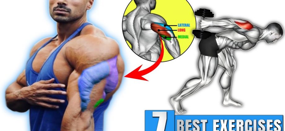 7 Best Triceps Exercises for Bigger Triceps all 3 Heads - Arms workout