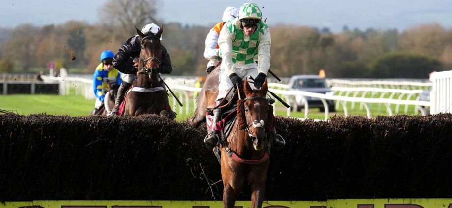 Celebre D'Allen dies after collapsing during Grand National as jockey receives punishment