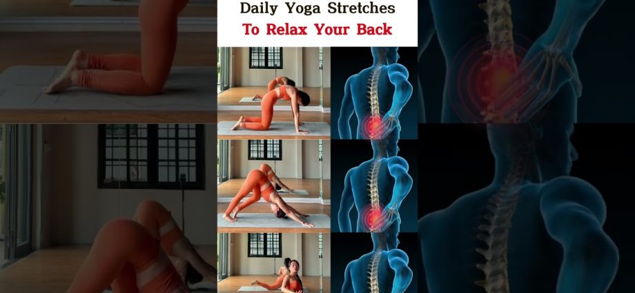 RELAX Your Back with the TOP 3 Daily Yoga Stretches of 2025!
