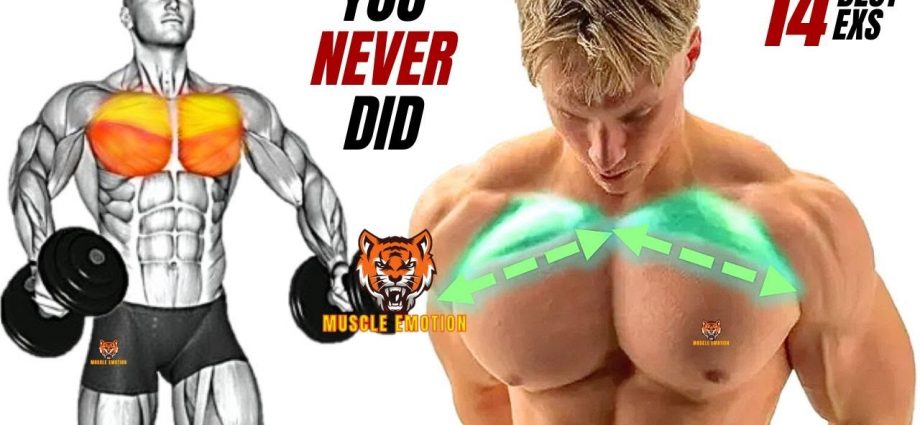 14 best upper chest workout with DUMBBELLS only that you never did at gym