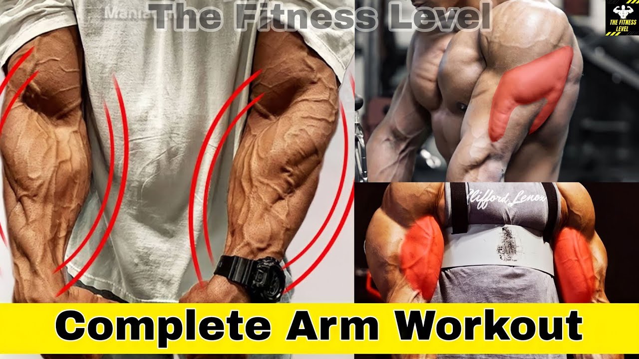 Complete Arm Workout 💪|| Biceps, Triceps and Forearms Best Exercises || The Fitness Level