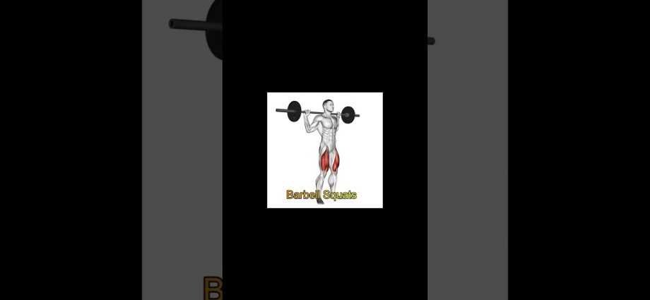 The Top 3 Exercises For Increasing Quads Mass - Muscle & Strength - Beginner Workout