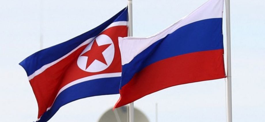 Russia begins building road bridge to North Korea, PM says