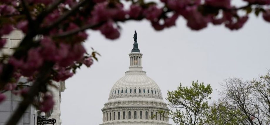 US Senate panel votes to advance Trump nominee to oversee $42 billion government broadband internet fund