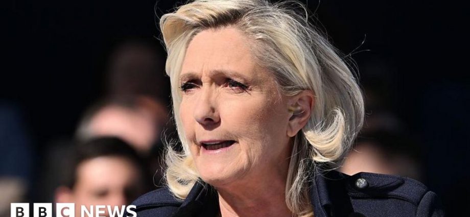 Le Pen calls embezzlement conviction a 'witch hunt' at Paris rally
