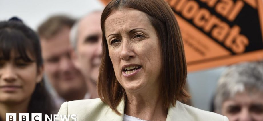 Welsh Lib Dems promise 'grown up politics' at Senedd elections