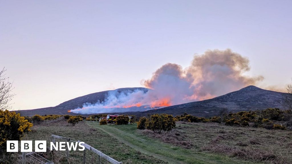146 gorse fires dealt with in three days