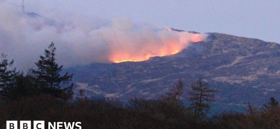 Forest blaze 'under control' as Scottish wildfires continue