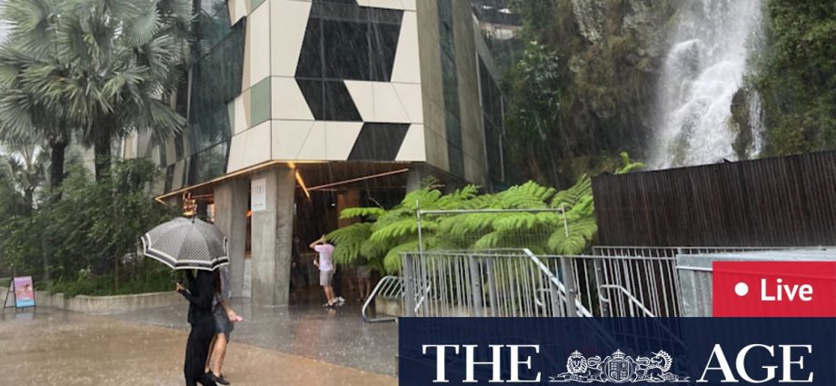 Brisbane news live: Trio bitten by dingoes on K’gari | Valley tower set to squeeze in another 167 rooms | Dutton sidesteps questions on the Lodge