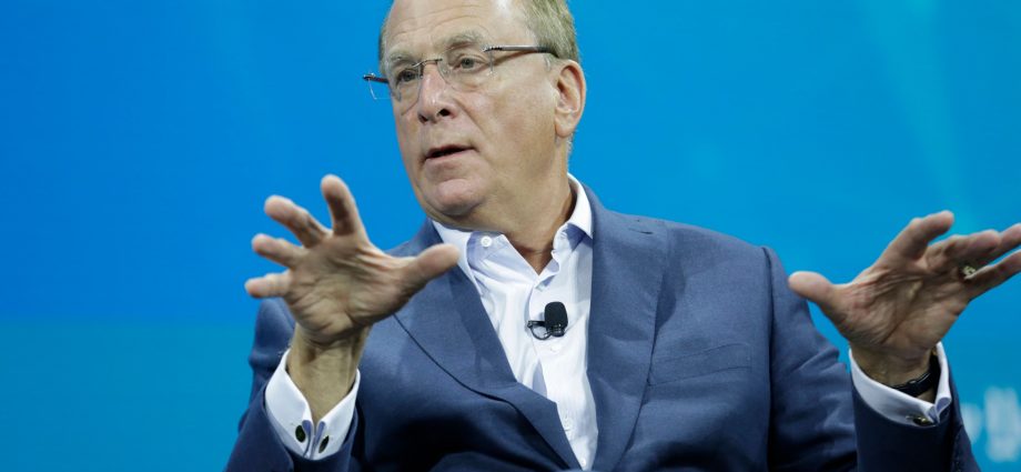 BlackRock CEO Larry Fink Says Further 20% Market Drop Is Possible