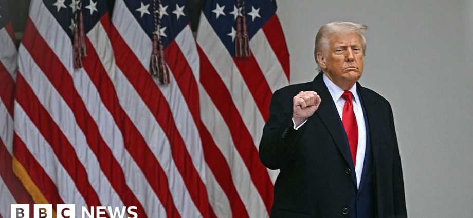 Trump's agenda grapples with political and economic reality