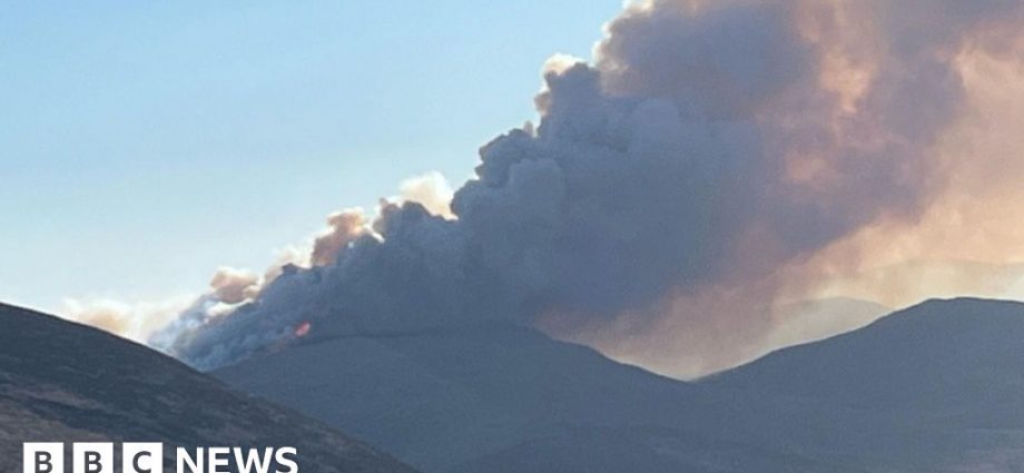 Over 100 firefighters tackle wildfire in 'major incident'