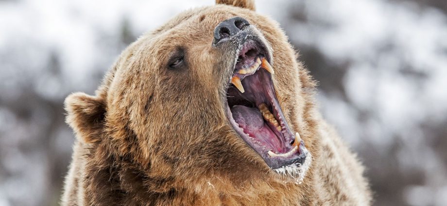 Bitcoin, Solana, Cardano XRP Tokens Plunge 20% as Traders Expect More Pain Ahead
