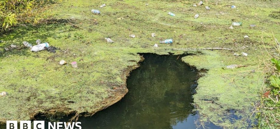 England's serious water pollution incidents at 10-year high