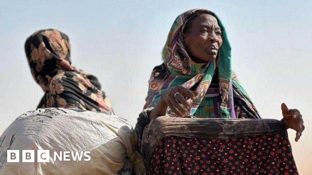 Sudan 'pathway to peace' talks in London bring together EU, UK and AU