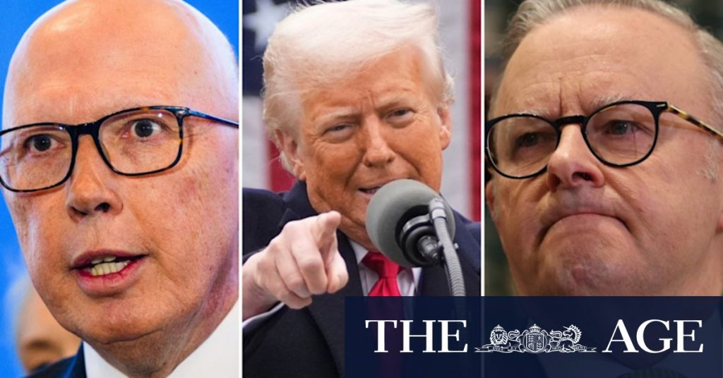 Albanese, Dutton urged to give bigger response to Trump tariffs