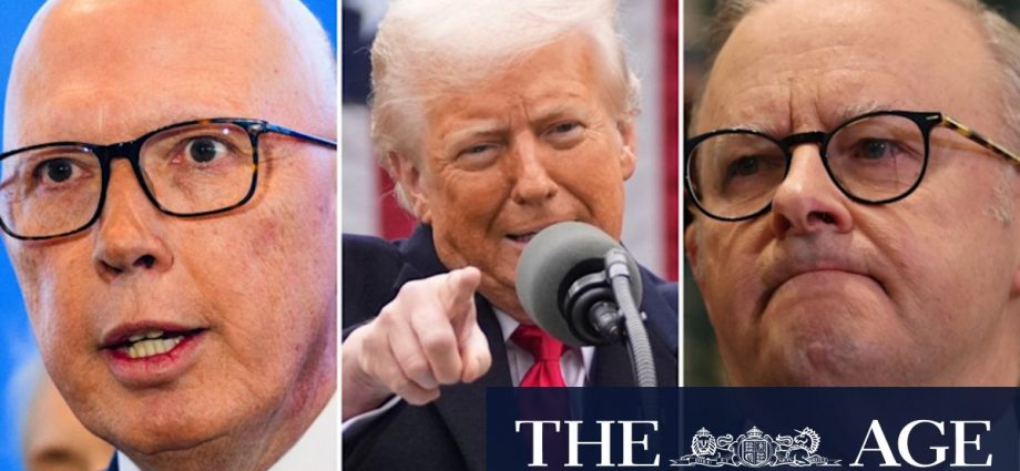 Albanese, Dutton urged to give bigger response to Trump tariffs