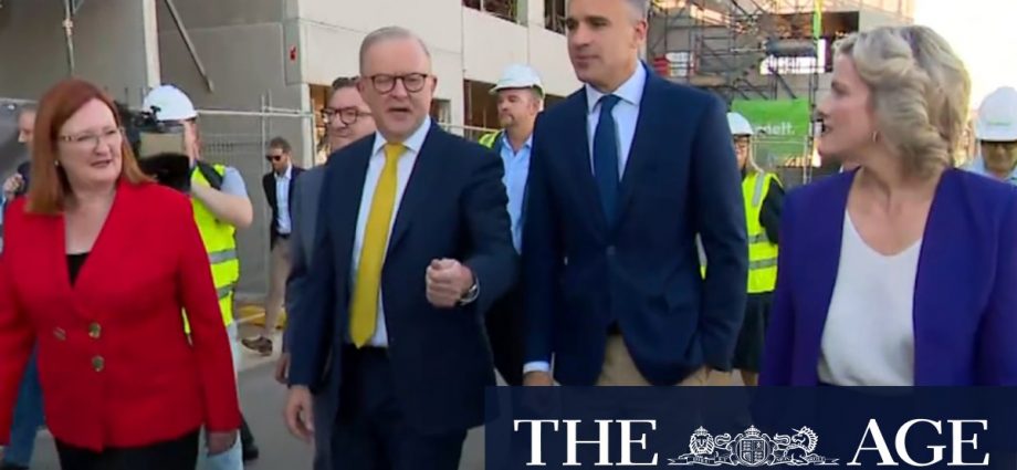 Albanese and Dutton target first-home buyers