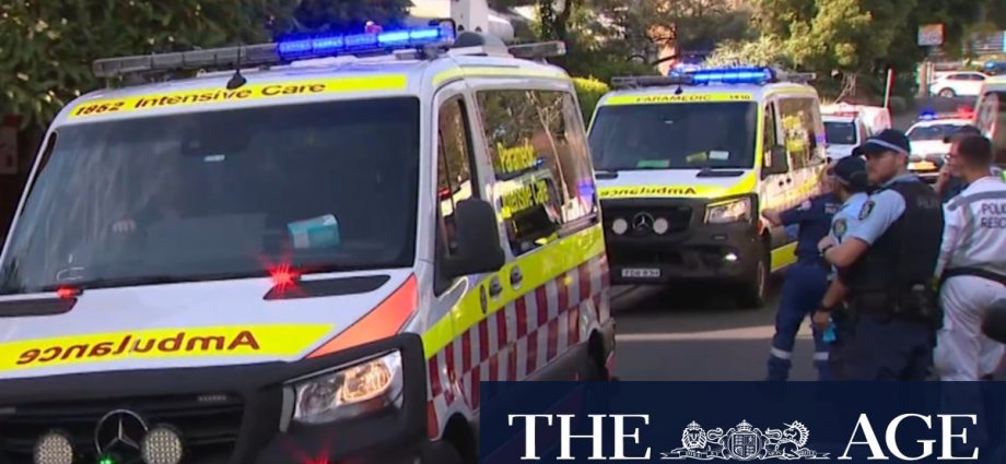 Woman dies after alleged domestic violence incident