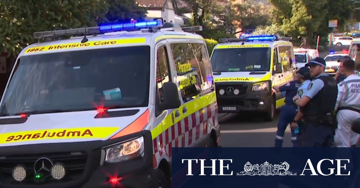 Woman dies after alleged domestic violence incident