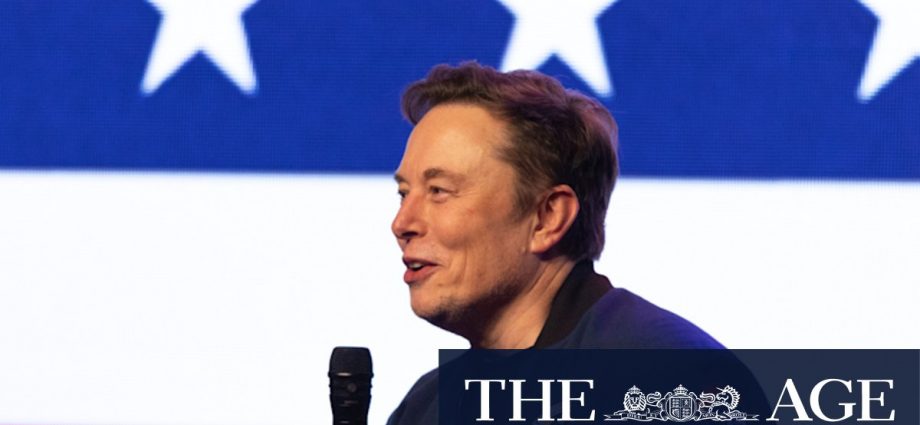 Elon Musk, Peter Navarro in public spat over Trump’s tariffs