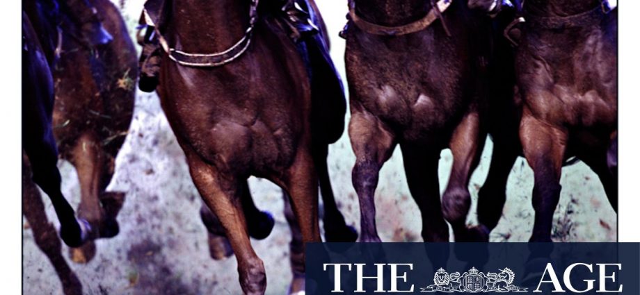 Pharoazano primed to fulfil promise at Dubbo
