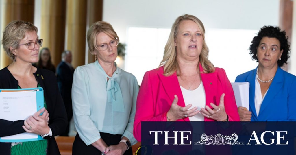 Kylea Tink, Climate 200, the AEC and the question of influence