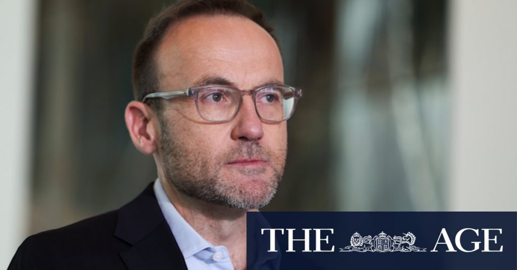 Greens want negative gearing, capital gains back on table