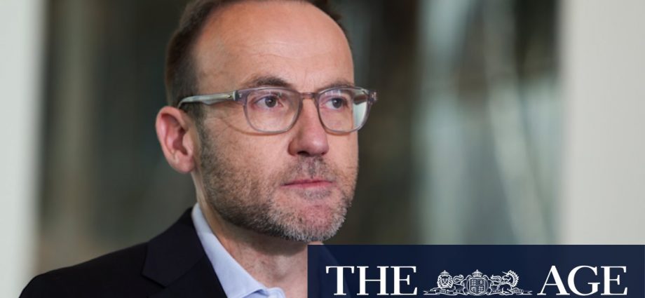 Greens want negative gearing, capital gains back on table