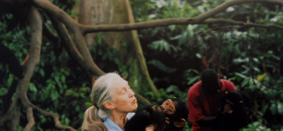 11 Best Nature Documentaries on Netflix, Hulu, and More (2025)