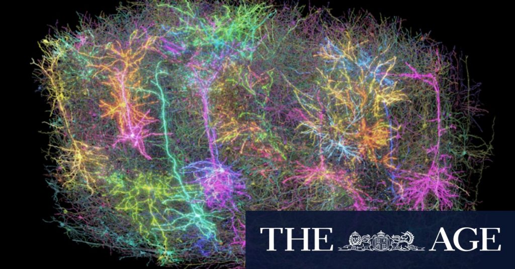 Watching the Matrix lit up this mouse’s brain so much it looked like a galaxy