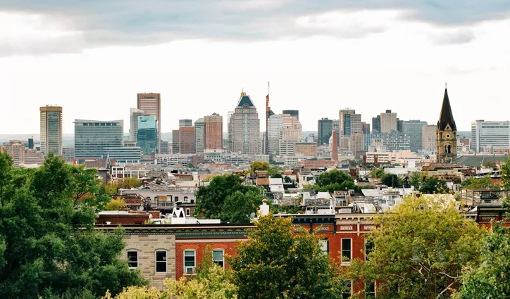 Brandon Gill grills Democratic witness defending Baltimore as safe city