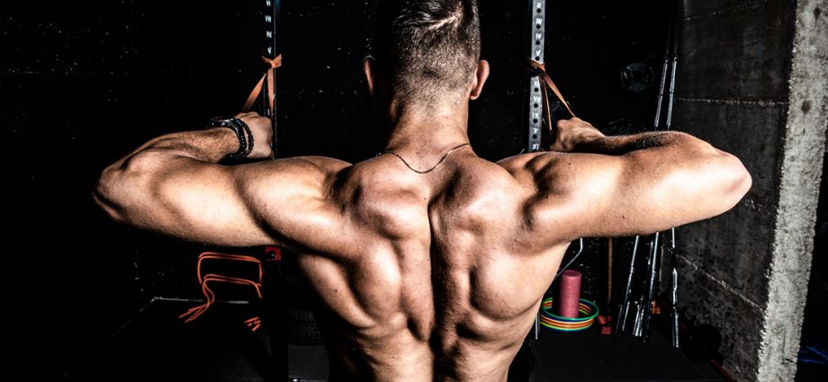 The 4 Expert Designed Pull Day Workouts To Build a Thicker Back