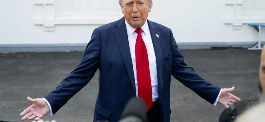 Impôt minimum mondial : ce que les Européens envisagent pour rassurer Trump