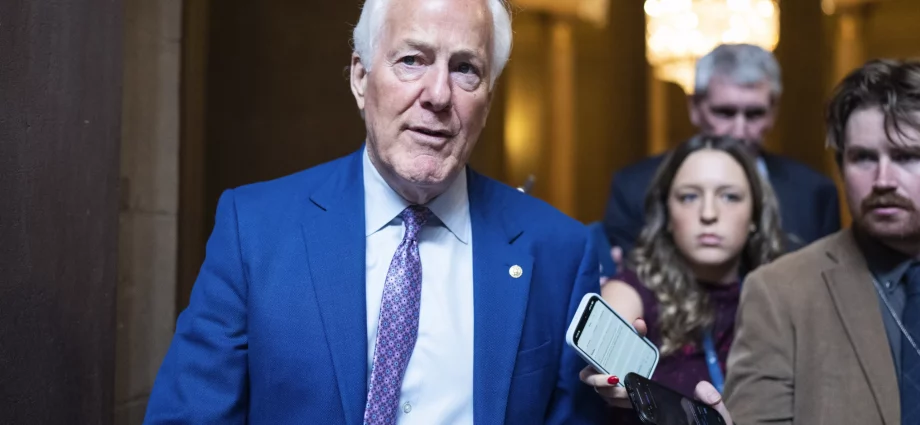 Cornyn asks DOJ to investigate proposed Muslim-focused community
