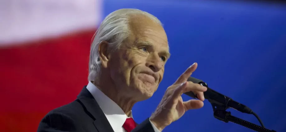 Peter Navarro continues to insist ‘everything is fine’ with Elon Musk