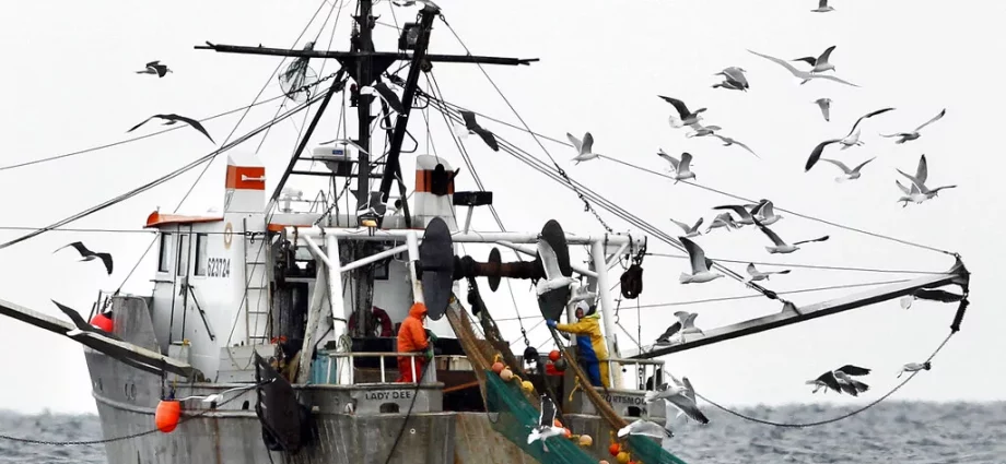 US shrimp industry hails ‘Liberation Day’ tariffs as saving domestic shrimpers