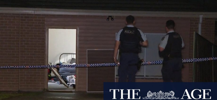 Three men are on the run after a machete attack in Sydney