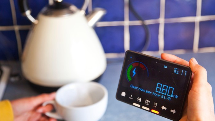 Person holding a smart meter